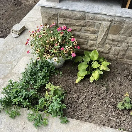 чифликъ 2 Kotel