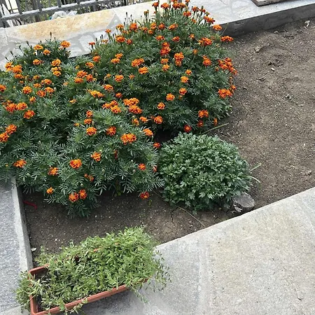 чифликъ 2 Kotel