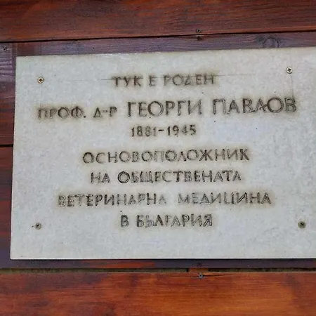 чифликъ 2