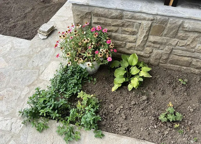 чифликъ 2 קוטל